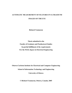 Automatic Measurement of Features in Ultrasound Images of the Eye