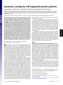 Geometry sensing by self-organized protein patterns
