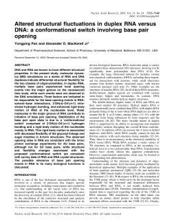 Altered structural fluctuations in duplex RNA versus DNA: a