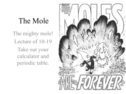 The Mole - Southwest High School