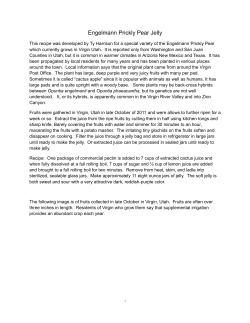 Engelmann Prickly Pear Jelly