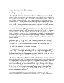 Anxiety: An Altered State of Consciousness