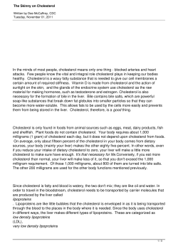 The Skinny on Cholesterol - Processed