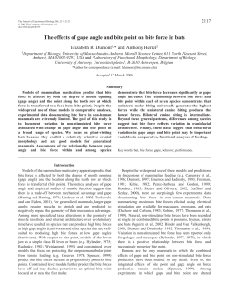 The effects of gape angle and bite point on bite force in bats