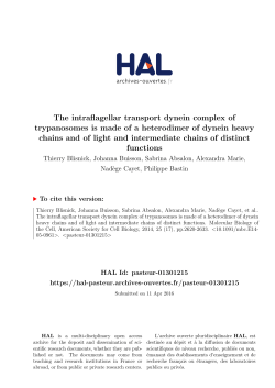 The intraflagellar transport dynein complex of - HAL