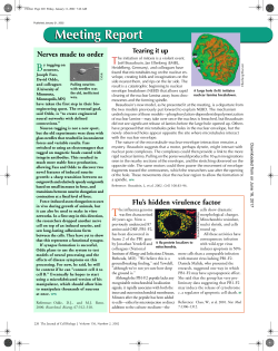 Meeting Report - The Journal of Cell Biology