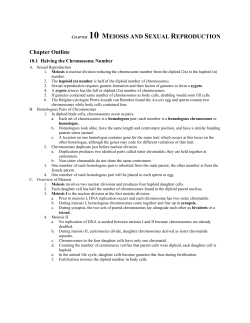 CHAPTER 10 MEIOSIS AND SEXUAL REPRODUCTION