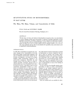QUANTITATIVE STUDY OF IN RAT LIVER Dry Mass, Wet Mass