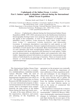 Cephalopods of the Indian Ocean. A review. Part I. Inshore squids