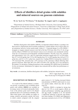 Effects of distillers dried grains with solubles and mineral sources on