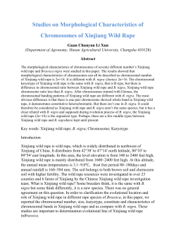 Studies on Morphological Characteristics of Chromosomes