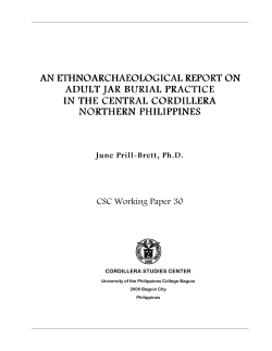 CSC Working Paper 30 - Cordillera Studies Center