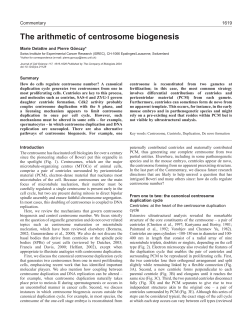 The arithmetic of centrosome biogenesis