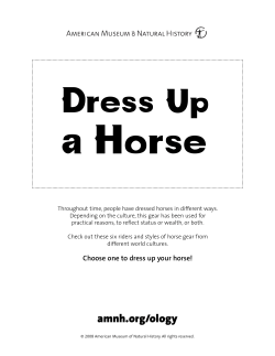 Dress Horse - American Museum of Natural History