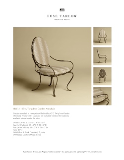DC-3-117-A Twig Iron Garden Armchair