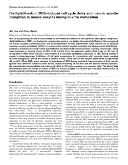 Diethylstilbestrol (DES)-induced cell cycle delay and meiotic spindle