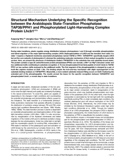 Structural Mechanism Underlying the Specific