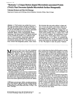75 kD - The Journal of Cell Biology