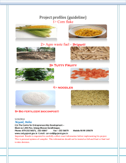 Project profiles (guideline)