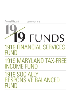 Annual Report - 1919 Financial Services Fund