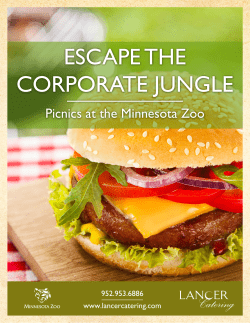 escape the corporate jungle