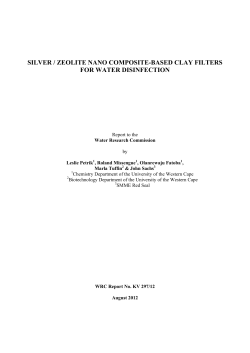 silver / zeolite nano composite-based clay filters for water disinfection