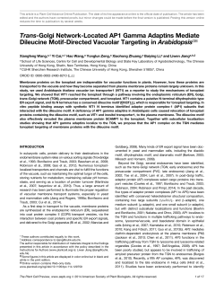 Trans-Golgi Network-Located AP1 Gamma Adaptins