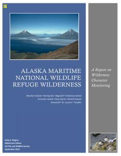 Alaska Maritime National Wildlife Refuge Wilderness