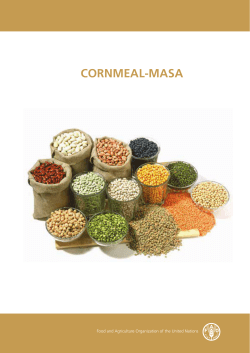 cornmeal[masa - Food and Agriculture Organization of the United