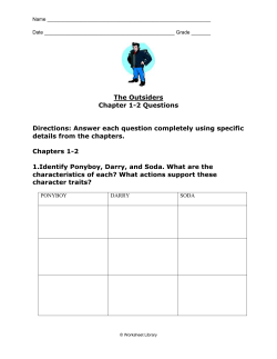Outsiders Study Guide Questions