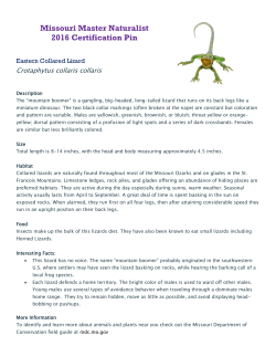 Missouri Master Naturalist 2016 Certification Pin