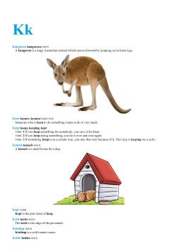 kept VERB ketchup NOUN