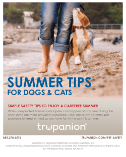 summer tips