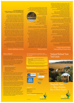 Rangitaiki Plains and Ohiwa Harbour Trail Guide