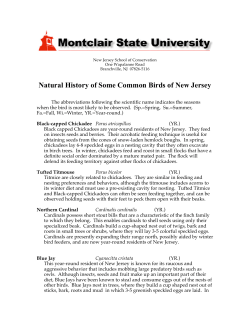 Natural History of Some Common Birds of New Jersey