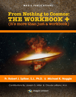 free online - the workbook + sampler