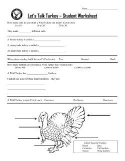 Let`s Talk Turkey &ndash; Student Worksheet