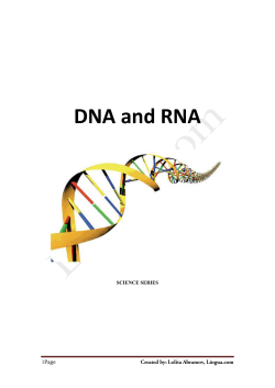 DNA and RNA