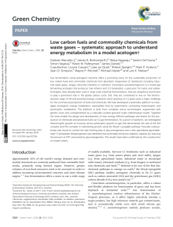 Low carbon fuels and commodity chemicals from waste gases