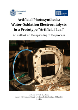 Artificial Photosynthesis: Water Oxidation Electrocatalysts in a