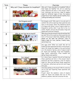 Term Theme Overview Did Dragons exist? Why do you love me so