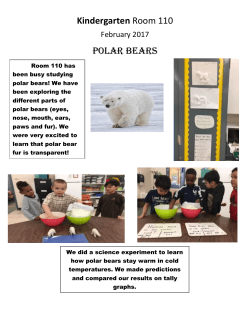 Kindergarten Room 110 Polar Bears