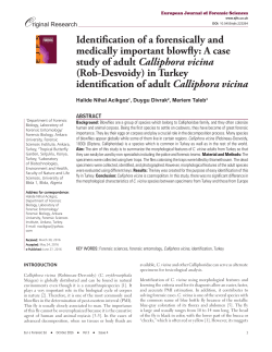 Identification of a forensically and medically important blowfly: A
