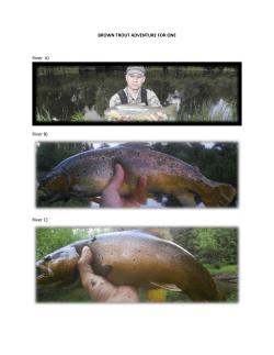 BROWN TROUT ADVENTURE FOR ONE River A) River B) River C)