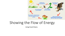 Showing the Flow of Energy