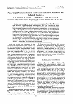 Polar Lipid Composition in the Classification of Nocardia and