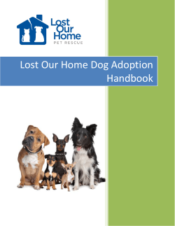 Lost Our Home Dog Adoption Handbook