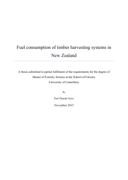 Oyier, Paul_Masters Thesis