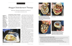 Maggot Debridement Therapy - International Biotherapy Society