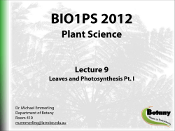 Photosynthesis